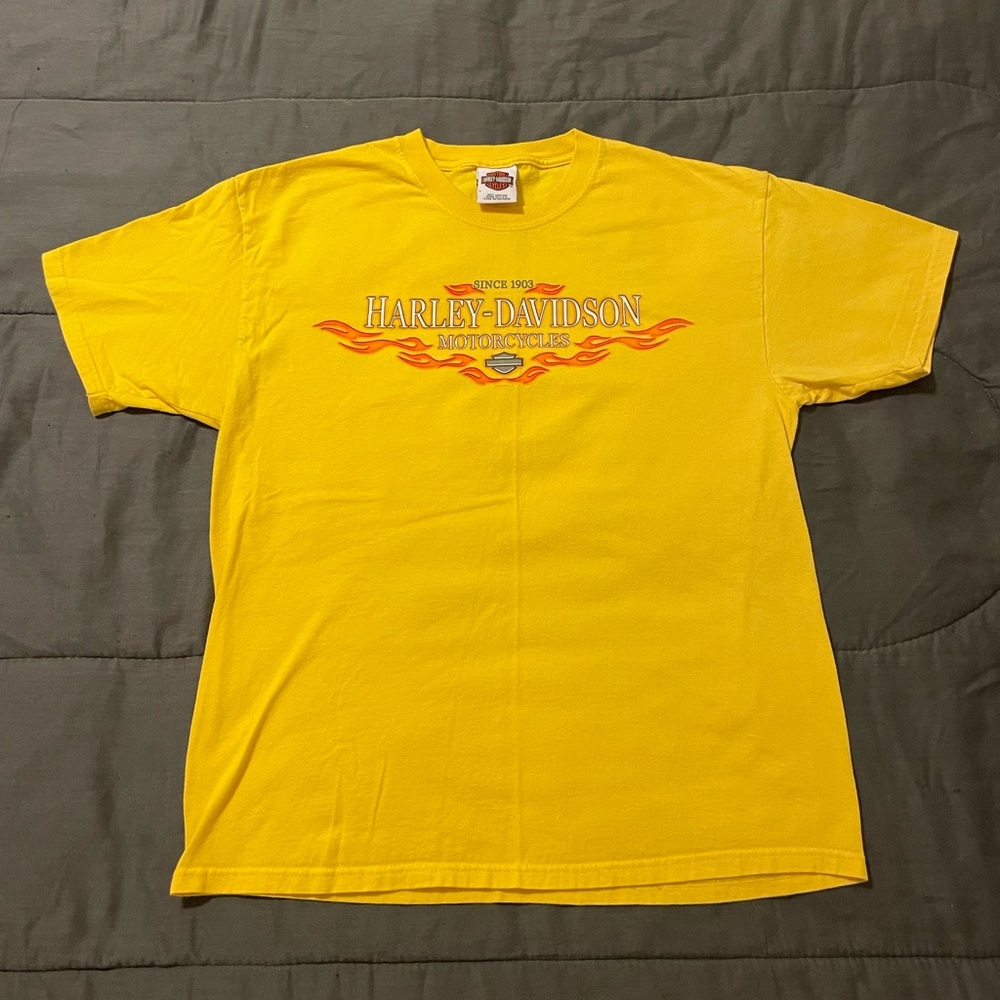 Vintage Harley Davidson biker tee
